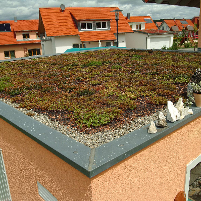 Natur aufs Dach