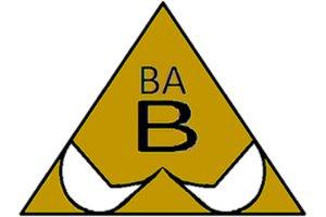BA Baudienstleistungen