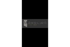 Malereibetrieb Thomas Mayer