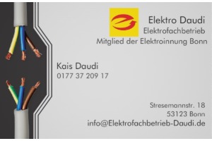Elektro Daudi
