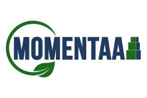 Momentaa