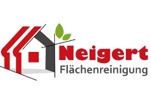 Dachreinigung / Terrassenreinigung in Freiburg