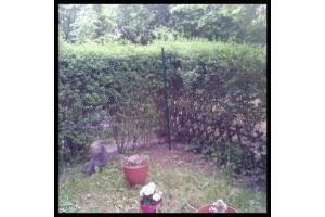 A.K.Dienstleistungen